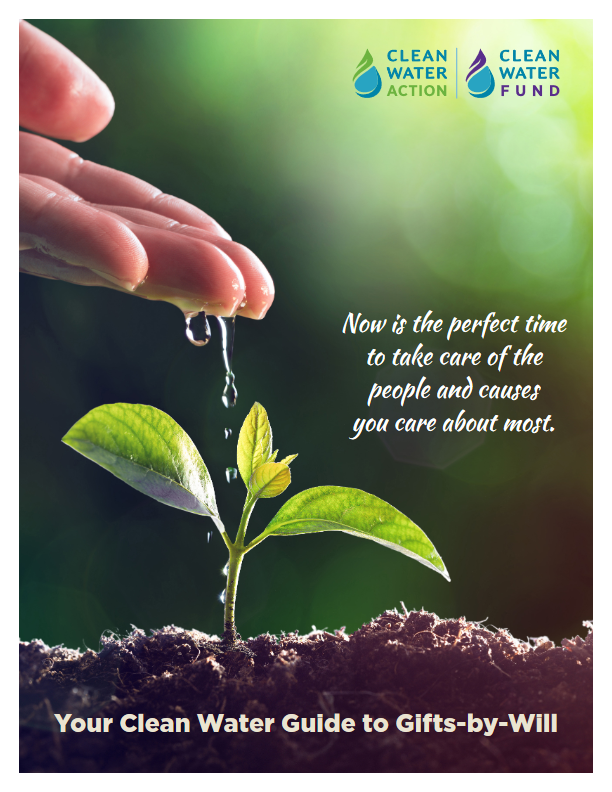 Cover of Your Clean Water Guide to Gifts By Will