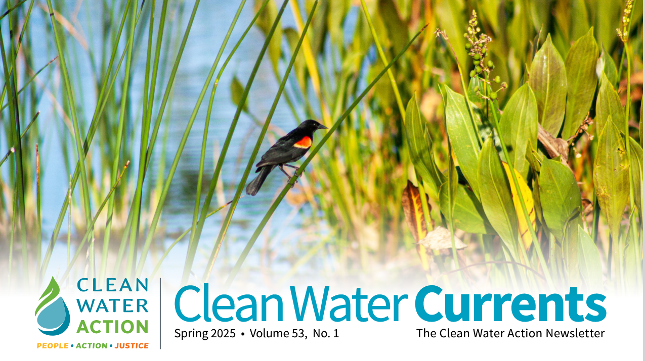 National_Spring Currents_2025_Header
