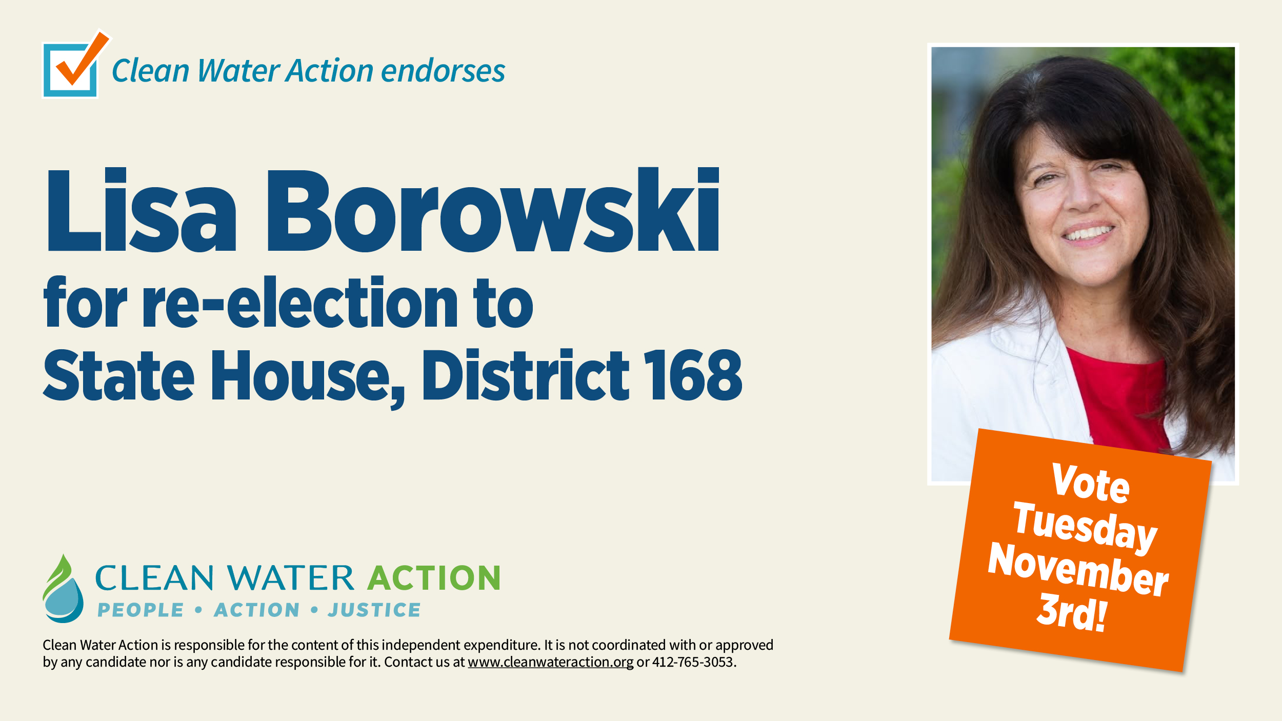 Lisa Borowski, State House, Dist 168 