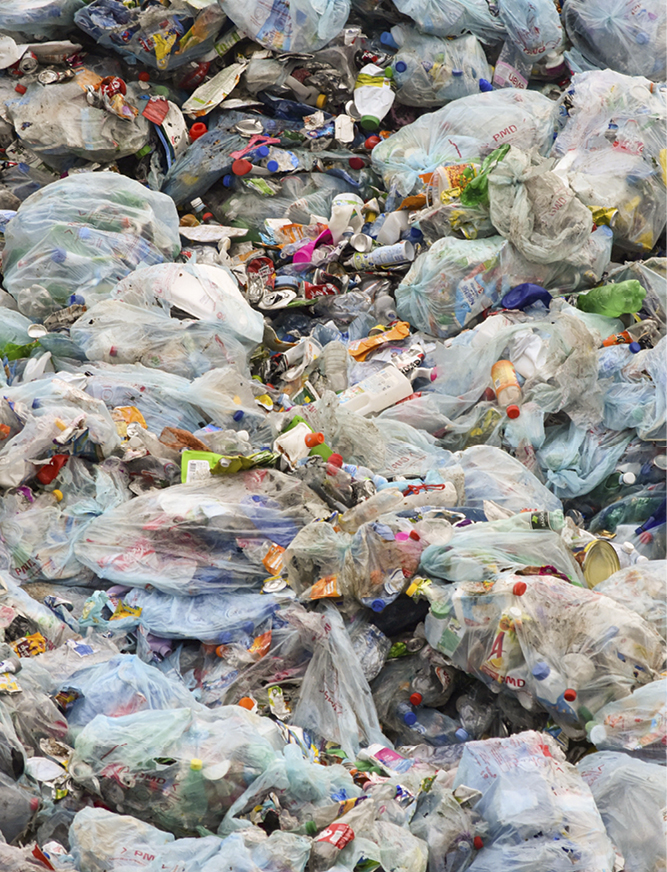 NJ_Plastic_Trash Emily Scott