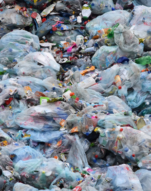 ReThink Disposable_NJ_PlasticBags_Image from NJ Summer newsletter 2018.jpg