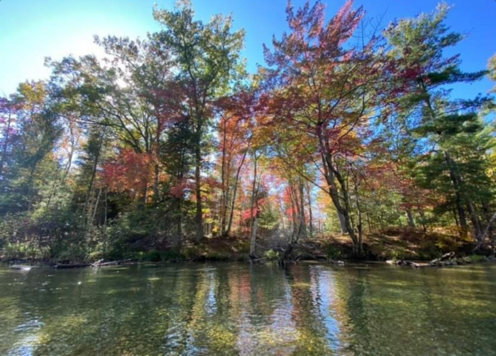 Michigan river reflecting fall leaf colors. Photo: Audrey Gerard