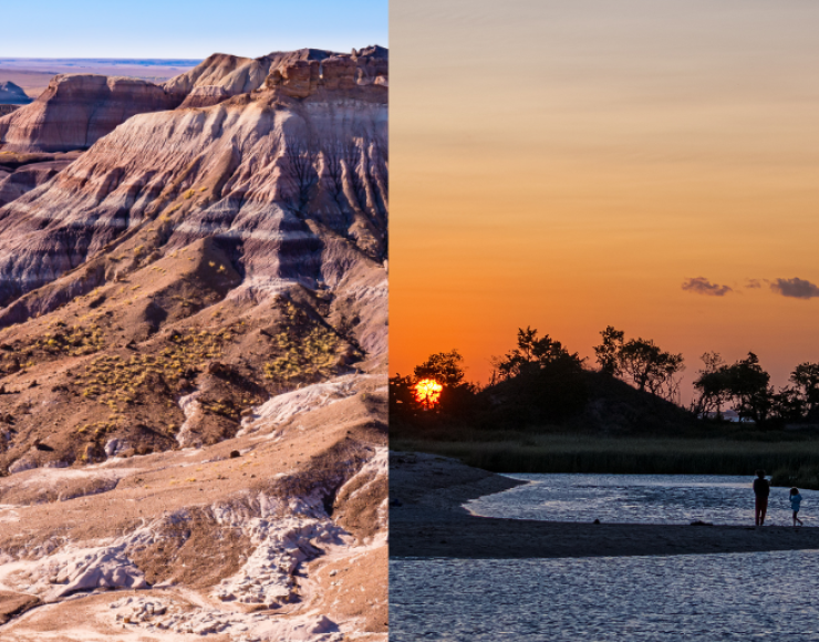Petrified Forest National Park, Gateway National Recreation Area, Mammoth Cave National Park
