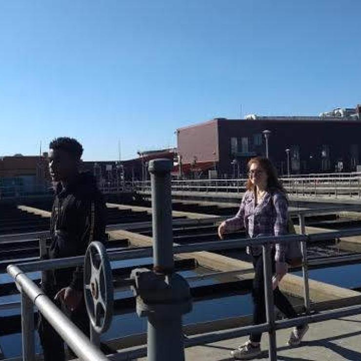 Settling field after primary treatments are complete 