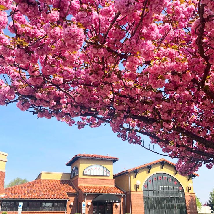 Spuntino Clifton 2_ReThink Disposable_NJ_Photo by Doherty Enterprises