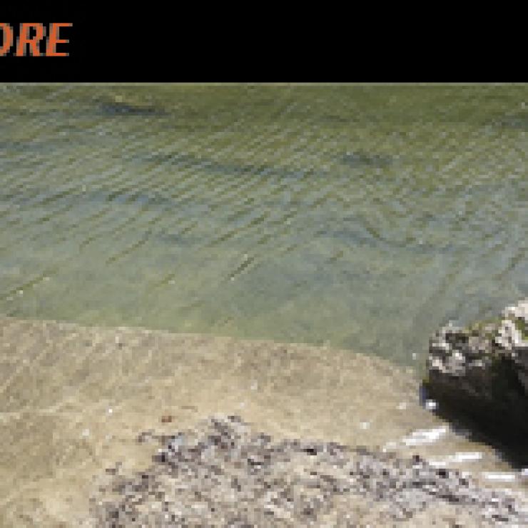 Onion Creek, photo from City of Austin Watershed Protection