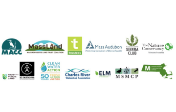 MA Press Release Logo Header