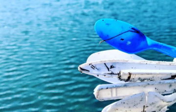 Plastic silverware waste collected by water