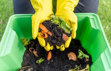 Image of composting food waste. Source: GBJSTOCK, shutterstock.com