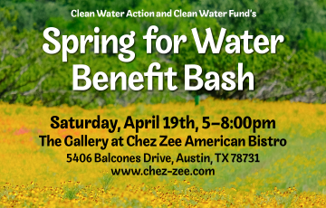 A field of yellow daisies with text: Clean Water Action and Clean Water Fund's Spring for Water Benefit BashA field of yellow daisies with text: Clean Water Action and Clean Water Fund's Spring for Water Benefit Bash