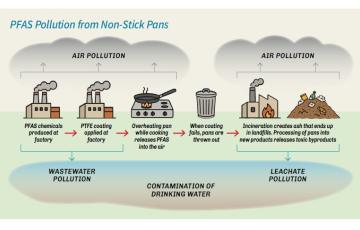 PFAS pollution from non-stick pans-clean water action fact sheet image