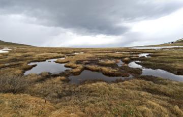 Colorado tundra. Credit - iStock Photo