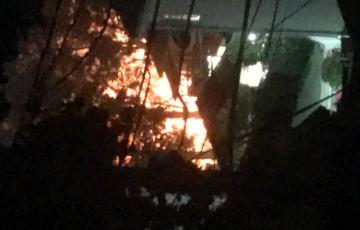 MA_Fire_by Elizabeth Saunders