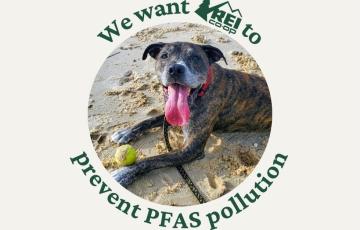 National - REI Blog  (2).jpg