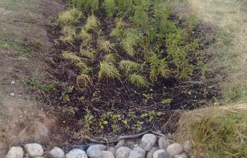 Green infrastructure projects like this rain garden in East Baltimore hold rainwater in place until it can soak into the ground and reduce the total volume of water entering the storm drain system. Photo by Jennifer Kunze.