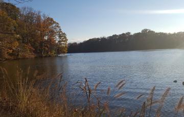 Waterfront in Edgewater, MD