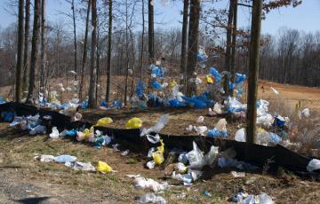 Plastic bags littering trees
