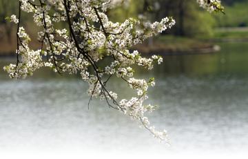 Clean Water Currents -- Spring 2019