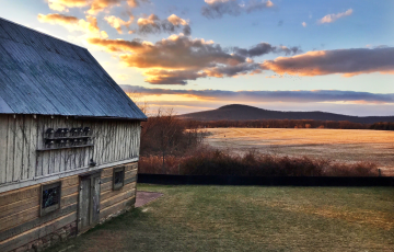 Photo credit: Dalis Davidson of Dancing Leaf Farm