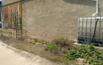 Baltimore's stormwater remediation fee could be funding green stormwater restoration projects like this rain garden in McElderry Park. Photo by Jennifer Kunze.