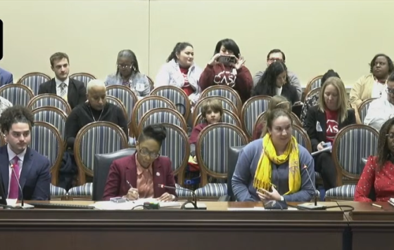 Chesapeake Regional Director Emily Ranson testifying on a panel of 4 people in the House of Delegates