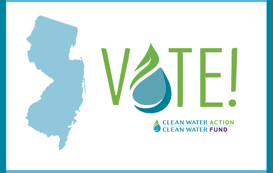 graphic design that says Vote! with an outline of NJ State