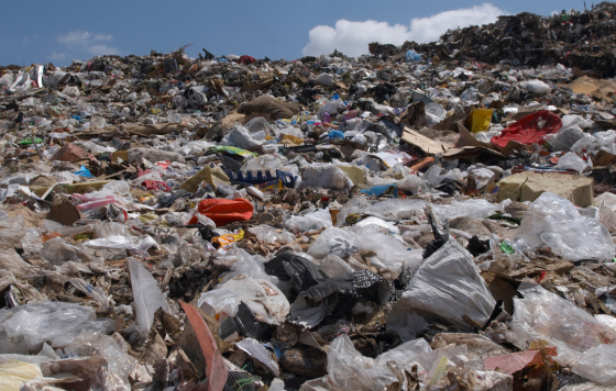 MA_ZeroWaste_Trash_source: Canva