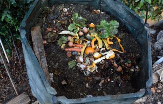 composting-container-istock-curtoicurto.jpg