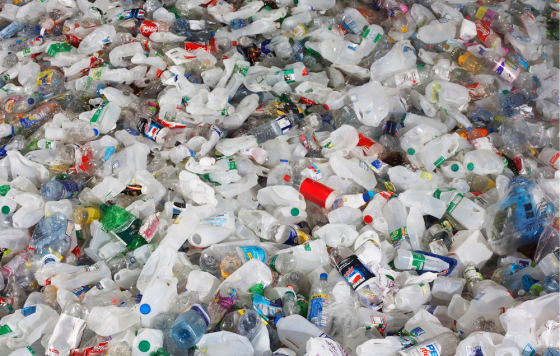 photo of plastic bottles - canva image
