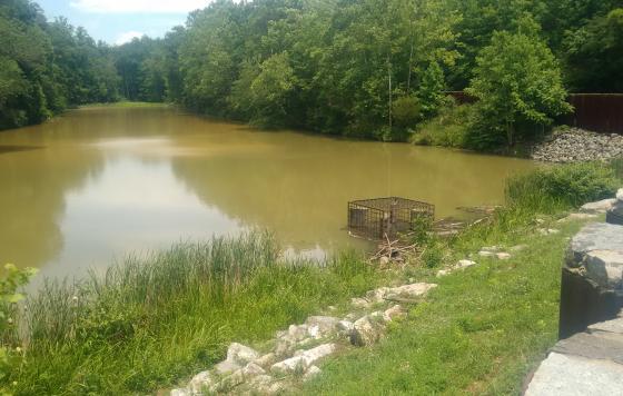 Lake Marian, in the Linganore Creek watershed 