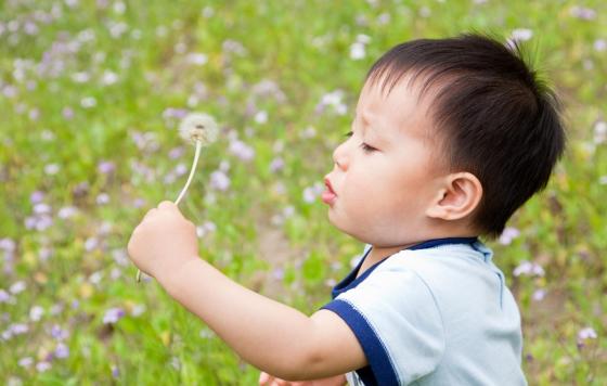 Pesticide_Kid_Dandelion_Source: Canva