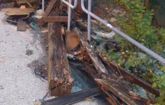 Debris in Maryland Photo by Jennifer Kunze