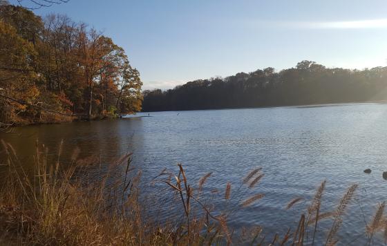 Waterfront in Edgewater, MD