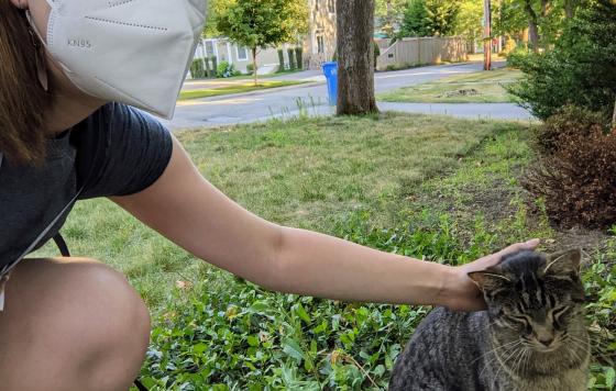 RI-Sofia Yee-Wadsworth-canvassing image with cat