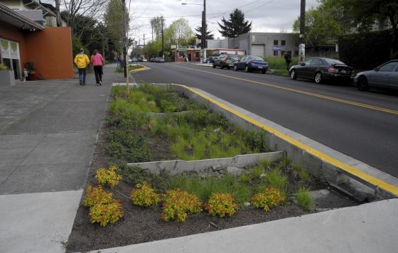 Credit Dianne Yee Creative Commons